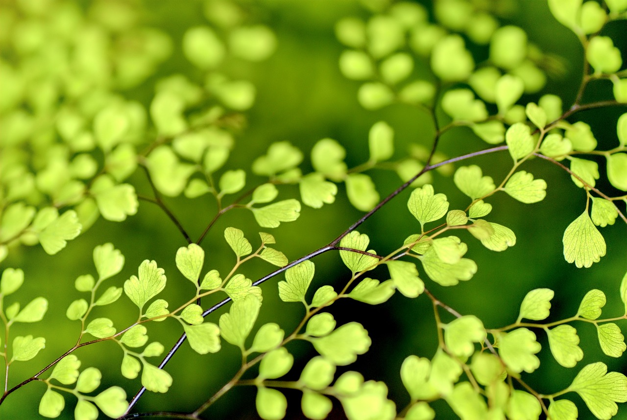 The Correlation between Green Energy and Financial Performance